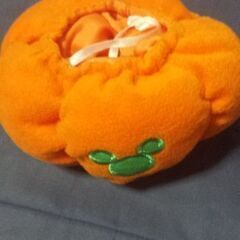 [レアグッス2008]ディズニー ダッフィー コスチューム ハロウィンかぼちゃの画像