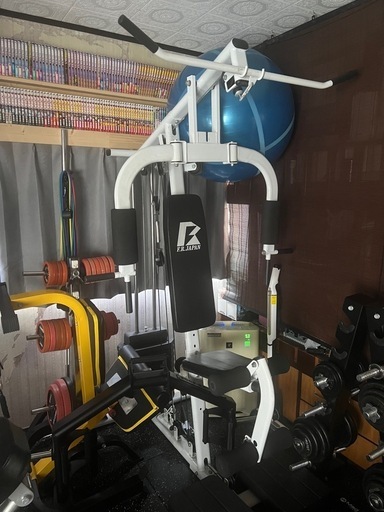 ファイティングロード ホームジムEX55