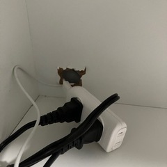 タカラスタンダード　キッチンカップボードの画像