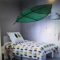 IKEAの葉っぱ　LOVAベットキャノピー、リーフ/グリーンの画像