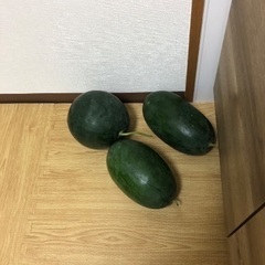 スイカ　すいか　１玉