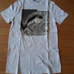 半袖Tシャツ