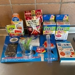 金魚飼育セット