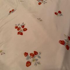 ブランケットの画像