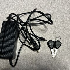 電気スクーター　Aioon（アイオーン）　中古美品！の画像