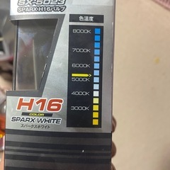 SX-5023 H16スパークスホワイト5100Kの画像