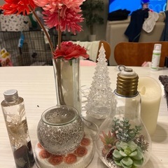 ホームインテリア アロマ　観葉植物　雑貨 いろいろセット　