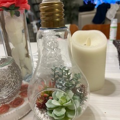 ホームインテリア アロマ　観葉植物　雑貨 いろいろセット　の画像
