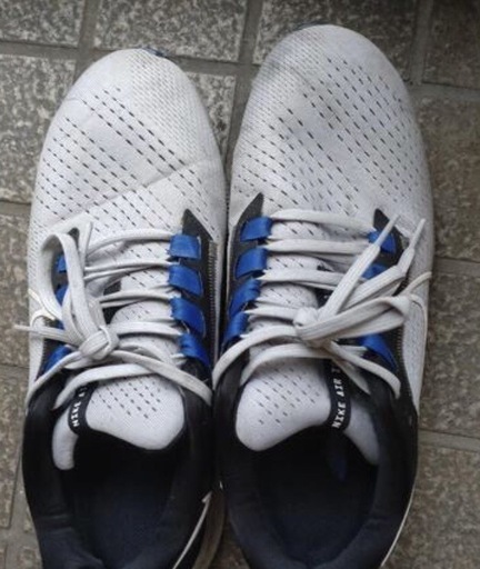NIKE ペガサス38靴