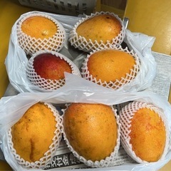 マンゴー(1kg1,500円)