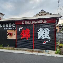 奈良県初錦鯉専門店★大和錦鯉養魚 - 北葛城郡