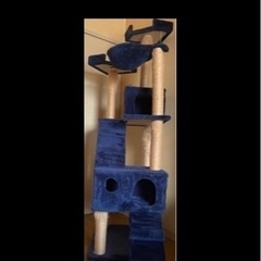 本日の引き取りで無料‼️猫タワー(中古)の画像