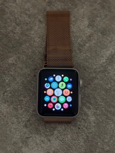 apple watch 本体