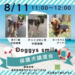 保護っ子達の譲渡会