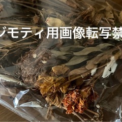 ドライフラワー　＆　カゴバック
の画像