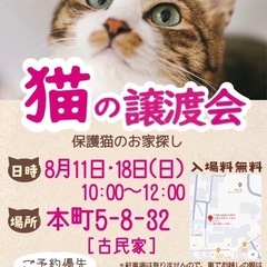 18日譲渡会に参加する猫さんです。 - 八尾市