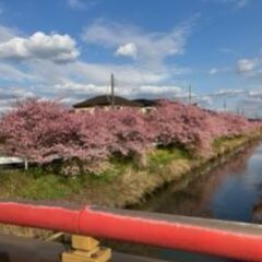ご不要の色鉛筆・折り紙・クレヨン・色画用紙等お譲り頂けないでしょうか？