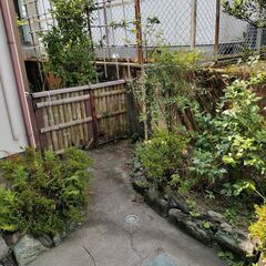終了しました庭木　色々な大きさ