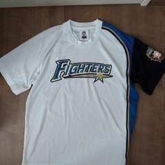 北海道日本ハムファイターズ Tシャツ(美品)