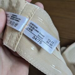 ブラジャーの画像