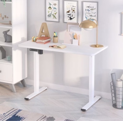 電気昇降デスク FLEXSPOT 家具 オフィス用家具 机
