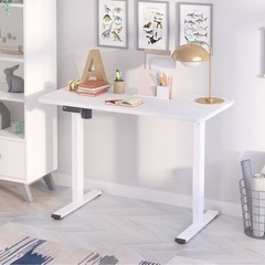 電気昇降デスク FLEXSPOT 家具 オフィス用家具 机