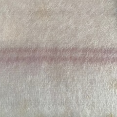 毛布　新品未使用の画像