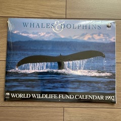 クジラ&イルカ　カレンダー(1992)