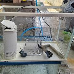 水槽の画像