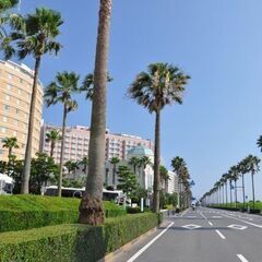 舞浜散歩にお付き合いいただける方！😊