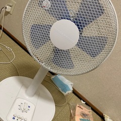 扇風機　本日のみ