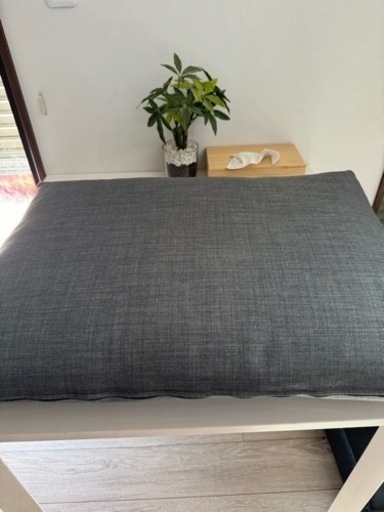 IKEA FRIHETEN フリーヘーテンクッション
