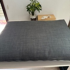 IKEA FRIHETEN フリーヘーテンクッション
