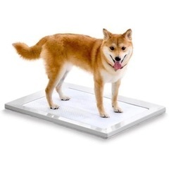 値下げしました！！アイリスオーヤマ　犬　トイレの画像