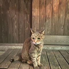 古着見に行きませんか⁇