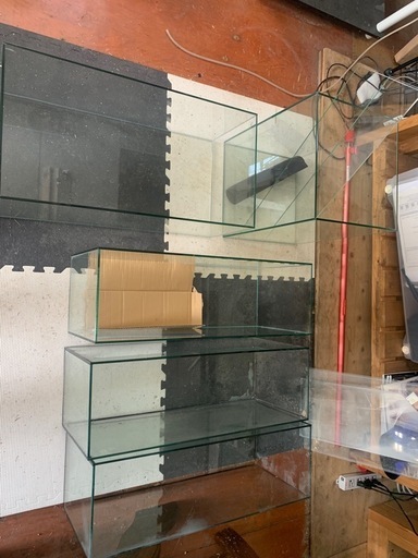 再募集 水槽5本 まとめて