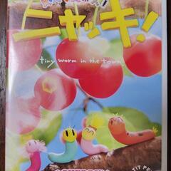 ニャッキ　DVD