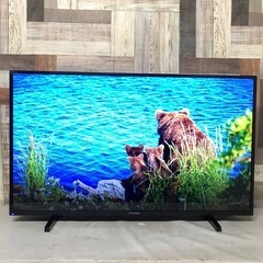 即日受渡❣️フナイ43型4K液晶テレビWチューナー裏番組録画可能25000円