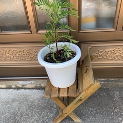 木製　ガーデニングスツール　椅子 花台