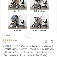 エアバギー2ウェイボードの画像