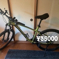 マウンテンバイク(Kona Lanai)