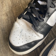 NIKE パンダダンクの画像