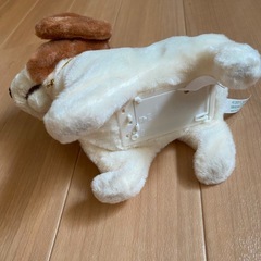 ピッコリーネの画像