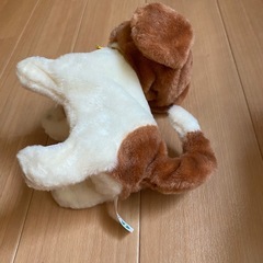 ピッコリーネの画像