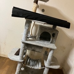 お譲りします！０円！※決まりました※の画像