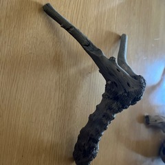 流木アク抜き品の画像