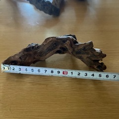 流木アク抜き品の画像