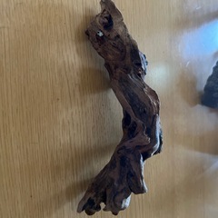 流木アク抜き品の画像