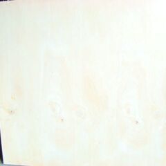 ベニヤ板差し上げます。