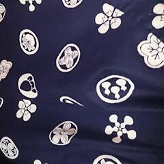 座布団10枚の画像